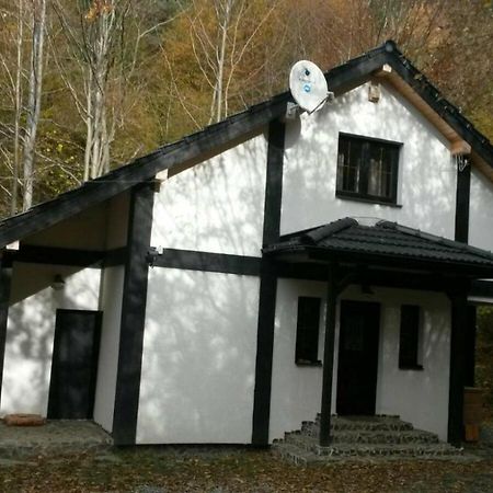 Cabana Crenguta Sibiu Exteriör bild