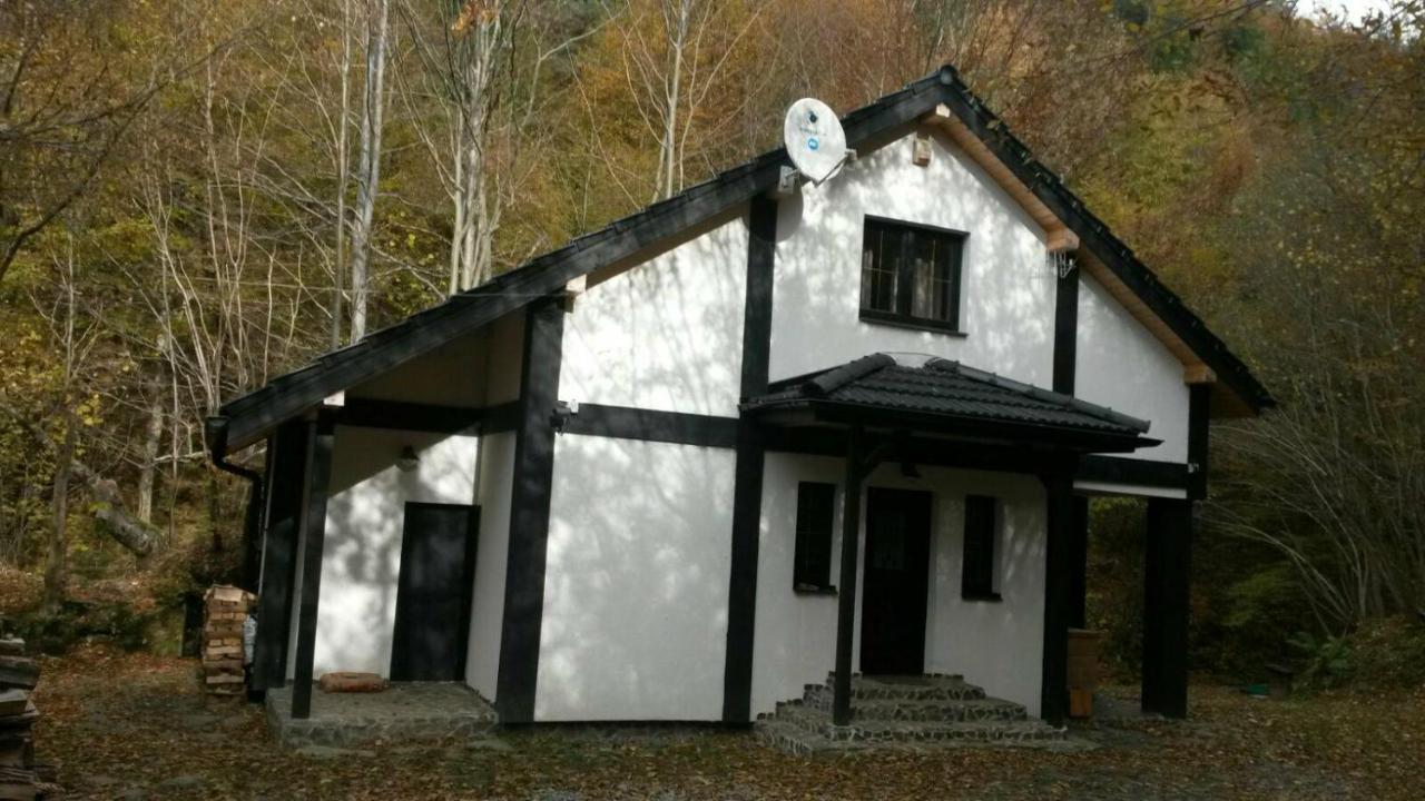 Cabana Crenguta Sibiu Exteriör bild