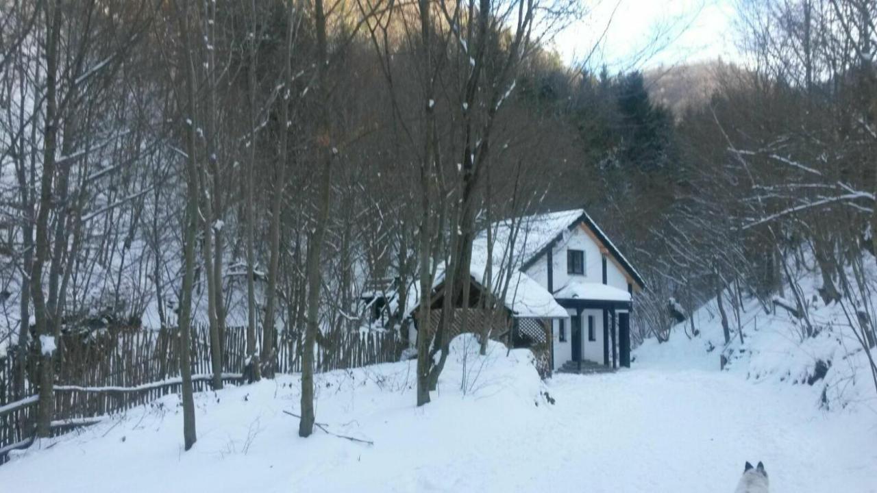 Cabana Crenguta Sibiu Exteriör bild