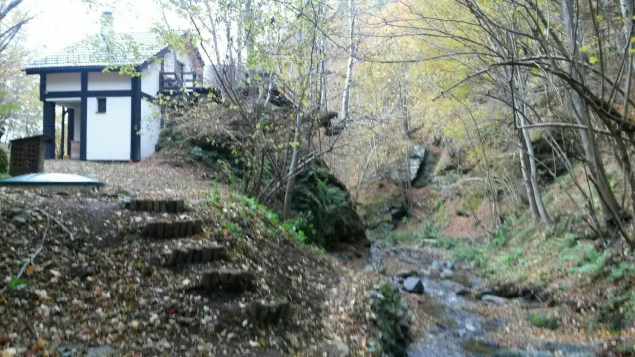 Cabana Crenguta Sibiu Exteriör bild