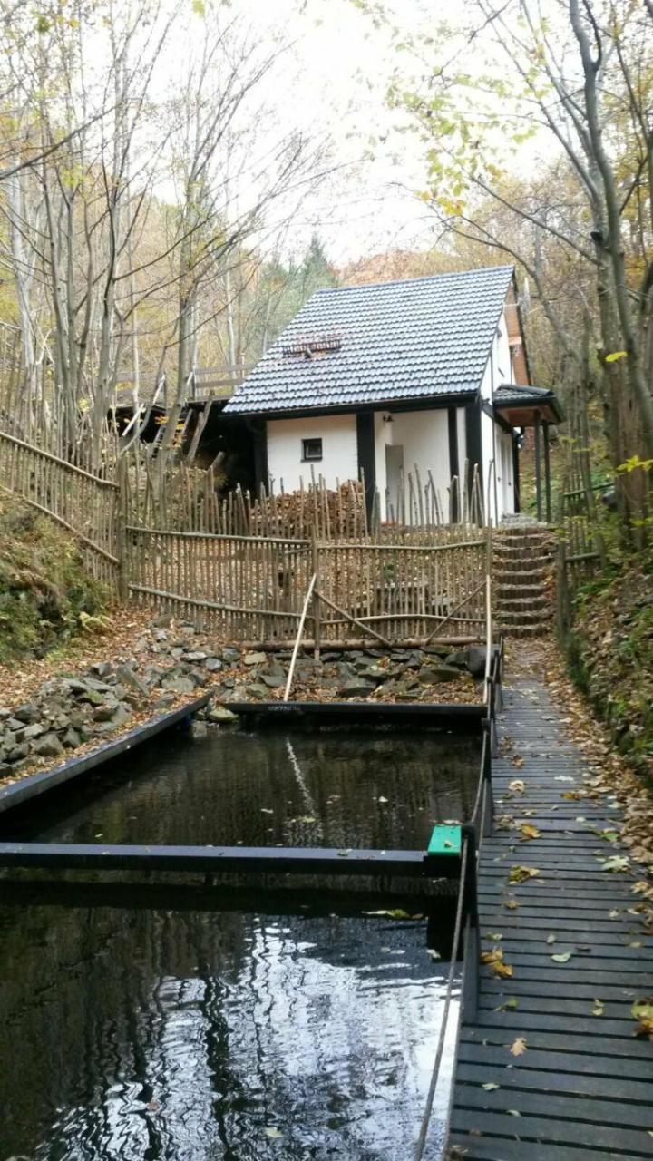 Cabana Crenguta Sibiu Exteriör bild