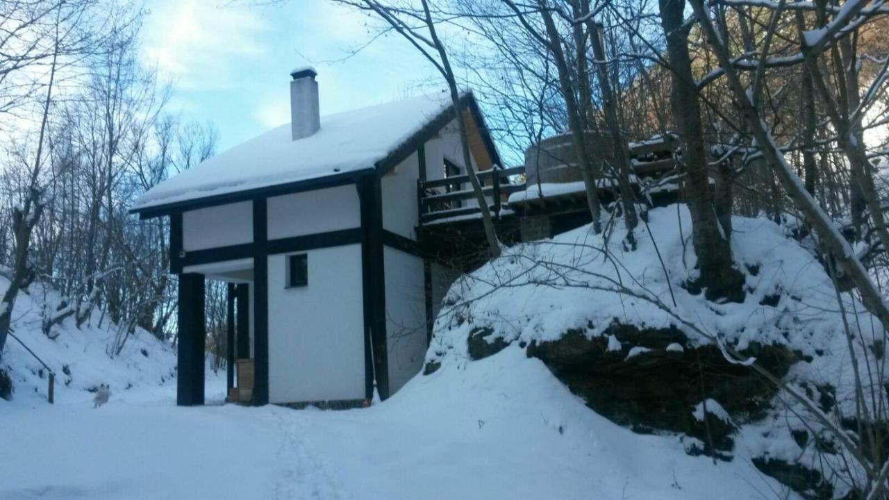 Cabana Crenguta Sibiu Exteriör bild